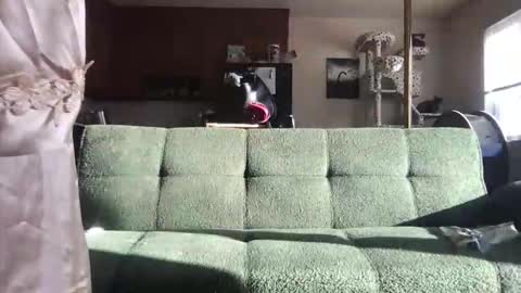 venustheflytrap online show from 05/21/26, 11:23