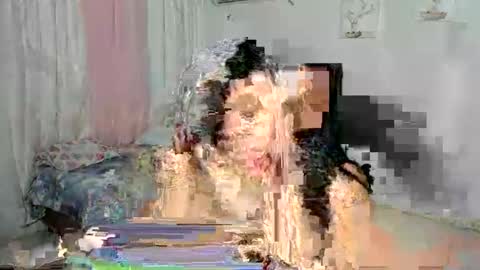 venus online show from 11/30/25, 02:04