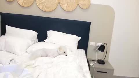 Violetta  online show from 11/09/25, 02:32