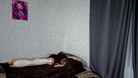 Veronica online show from 03/04/26, 09:10