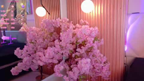 Snapshot of veronica_hill_ chatting on 05/13/26, 03:04 veronica_hill_ online show from 05/13/26, 03:04