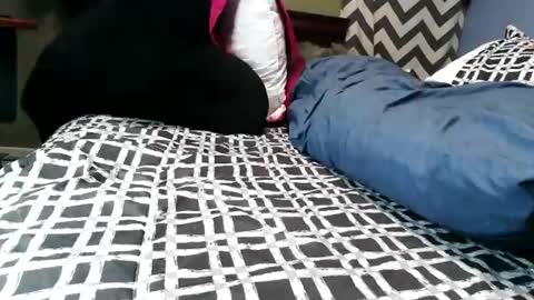 Vexnew online show from 02/21/26, 09:38