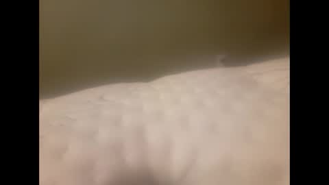 vic171477 online show from 02/01/26, 12:15