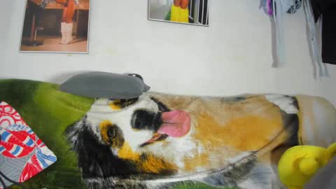 vicky manuela online show from 02/18/25, 11:30