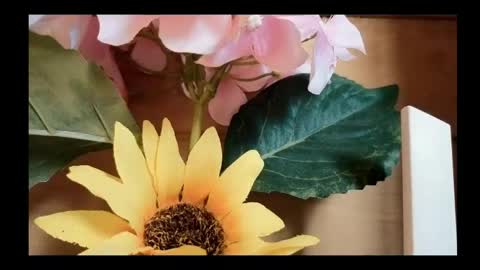 vickyvalencia2 online show from 05/04/26, 02:02