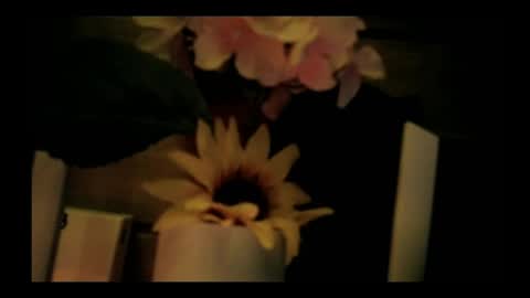 vickyvalencia2 online show from 05/05/26, 02:30