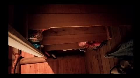 vickyvalencia2 online show from 05/17/26, 05:16