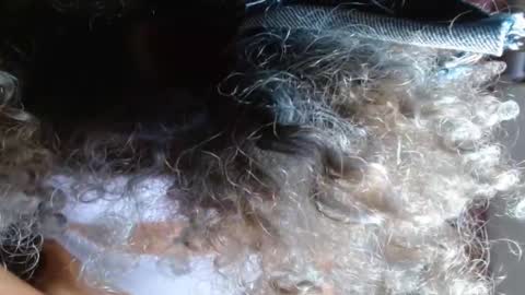 Snapshot of victoria_miler chatting on 02/14/25, 03:54 VICKY online show from 02/14/25, 03:54