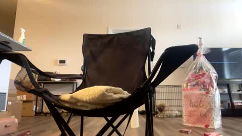 victoryd007 online show from 02/22/25, 07:25