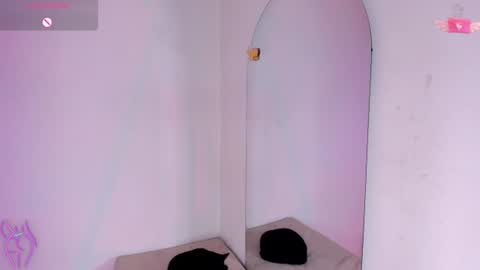 Snapshot of viioleett_cum chatting on 07/11/26, 05:04 viioleett_cum online show from 07/11/26, 05:04