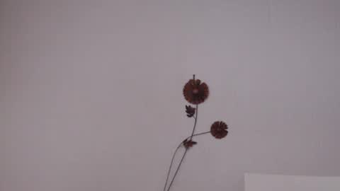 viiolettaaa online show from 06/27/26, 10:37