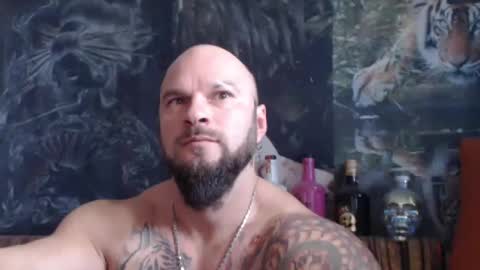 viking online show from 11/07/25, 10:26