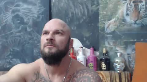 viking online show from 11/17/25, 07:41