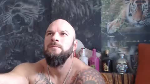 viking online show from 11/18/25, 07:46