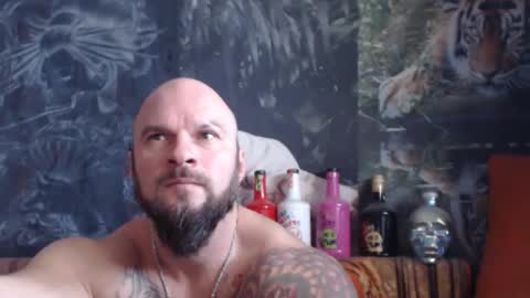 viking online show from 11/20/25, 07:19