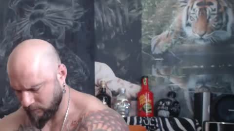 viking online show from 04/11/26, 10:30