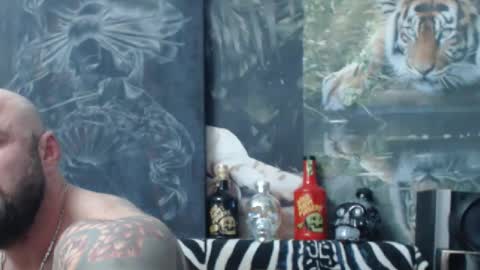 viking online show from 04/19/26, 06:10