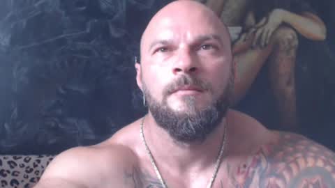 viking online show from 07/01/26, 06:26