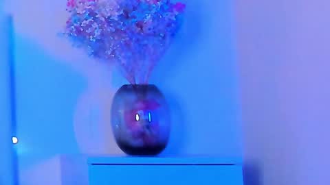 VIKKI online show from 01/29/25, 07:11