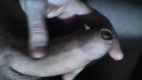   online show from 10/30/25, 07:36