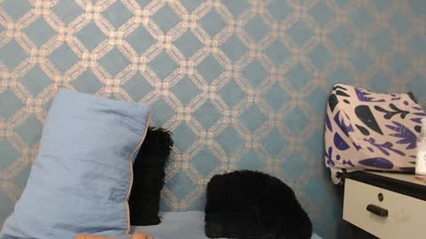 Snapshot of violeta_cute18 chatting on 12/18/24, 01:15 Violeta online show from 12/18/24, 01:15