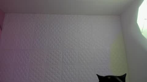     online show from 05/04/26, 09:22