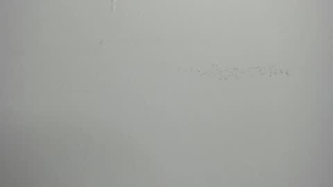 Snapshot of violett_24_ chatting on 03/01/25, 11:39 violett_24_ online show from 03/01/25, 11:39