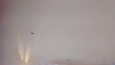 violett_24_ online show from 11/29/25, 11:30