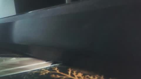 vip_90_daniele online show from 12/17/25, 10:54