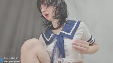 Snapshot of virgiin_lily chatting on 12/22/24, 02:49 Lily online show from 12/22/24, 02:49