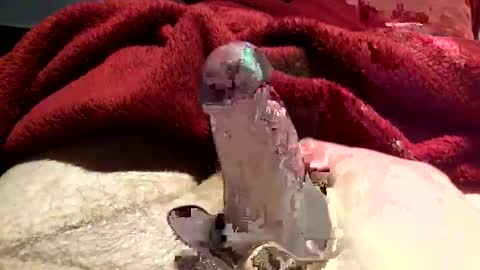 virtual_hand_player online show from 01/31/25, 06:36