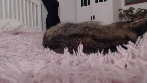 Visceratio online show from 02/07/25, 09:15