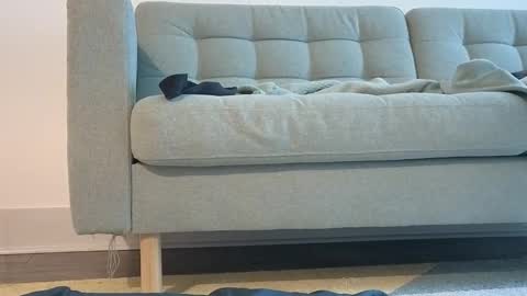 Pachinko De Gallo online show from 03/24/26, 06:46