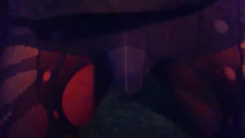 Snapshot of vitaminhard58 chatting on 02/11/26, 06:02 vitaminhard58 online show from 02/11/26, 06:02