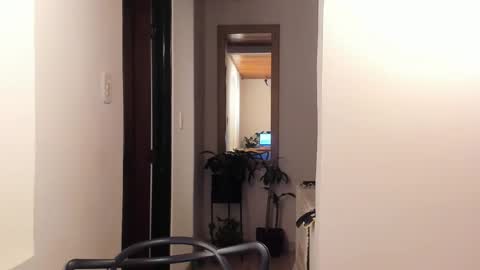 Vito Ferrer online show from 02/13/25, 03:29