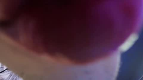 Snapshot of vittorio_cerati chatting on 05/29/26, 03:43 new acount online show from 05/29/26, 03:43
