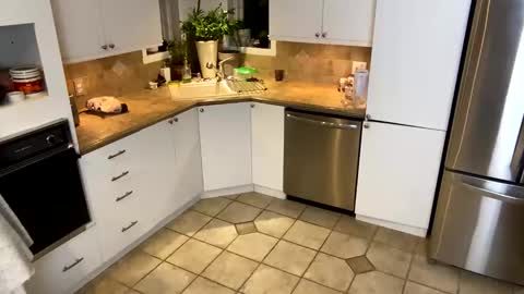 Vivlove online show from 01/20/25, 11:35