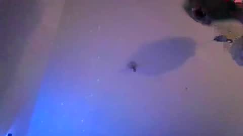 vivianvagina2026 online show from 04/08/26, 12:10