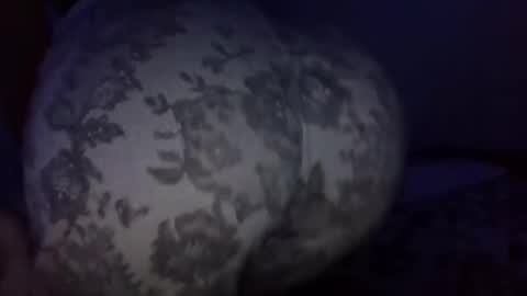 Snapshot of vkitty01 chatting on 03/31/26, 02:57 vkitty01 online show from 03/31/26, 02:57