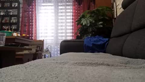 vlami69 online show from 11/30/25, 08:40