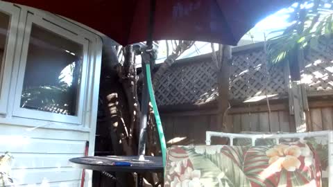 vtcd online show from 02/06/25, 09:28