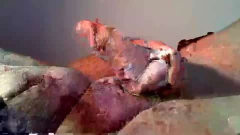 Snapshot of vukavuka99 chatting on 12/16/24, 12:59 vukavuka99 online show from 12/16/24, 12:59