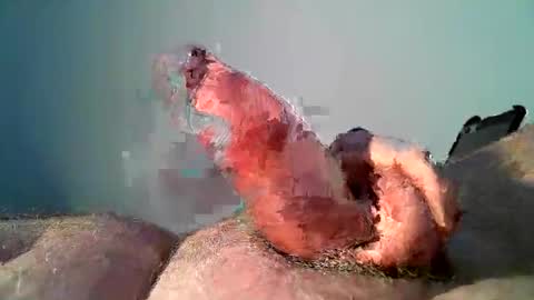 Snapshot of vukavuka99 chatting on 12/17/24, 09:16 vukavuka99 online show from 12/17/24, 09:16