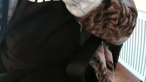 Daniel online show from 02/04/25, 02:10