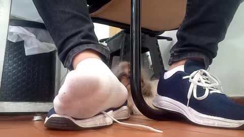 WaltherFeet  online show from 09/08/25, 04:50