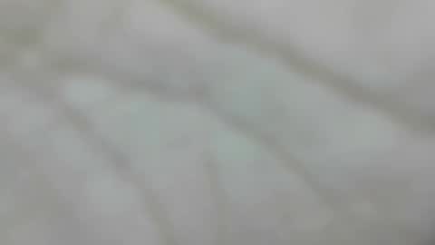 wangi_wangi online show from 01/10/26, 04:31