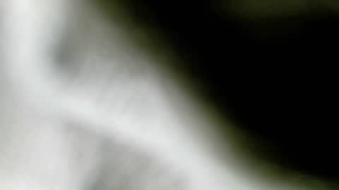 wangi_wangi online show from 02/18/26, 06:48