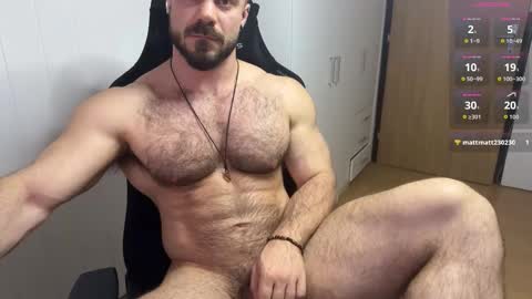 new online show from 02/12/26, 06:36