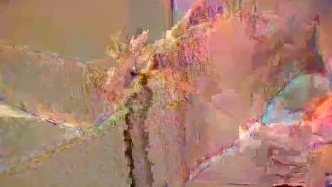 want2cum4gal online show from 12/29/24, 10:47