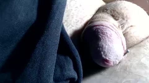 wants online show from 11/06/25, 02:40